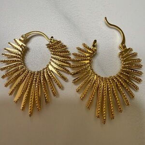 Elegant Gold Hoop Earrings